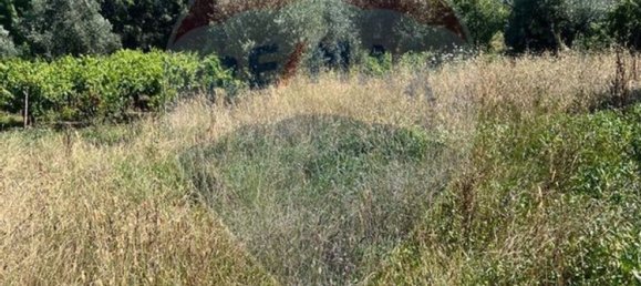 1 bedroom House in Macas de Dona Maria, Portugal No. 35456 3