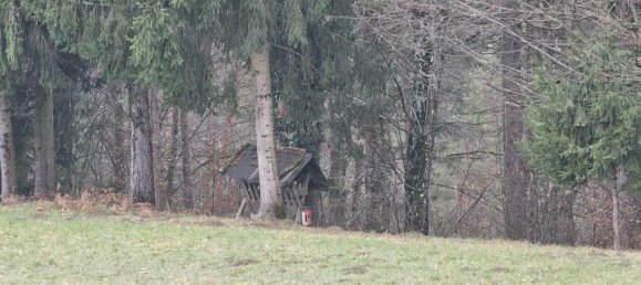 3غرفة منزل في Polfing-Brunn, Austria رقم 183984 28