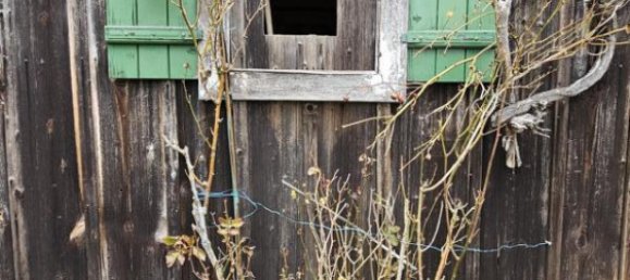 3غرفة منزل في Polfing-Brunn, Austria رقم 183984 34