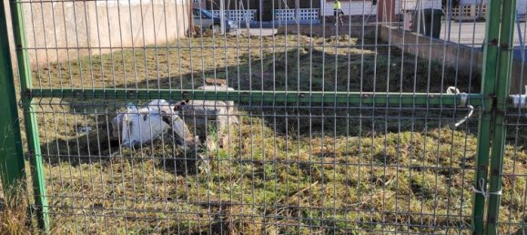 Terrain à Pinseque, Spain 226m² No. 78725 6