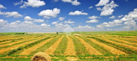  Land in Albignasego, Italy No. 338363 9