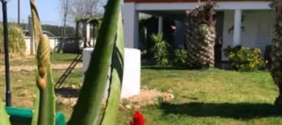 Apartamento de 6 dormitorios en Montijo, Spain No. 142461 27