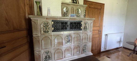 5 bedrooms House in Kruth, France No. 87618 6