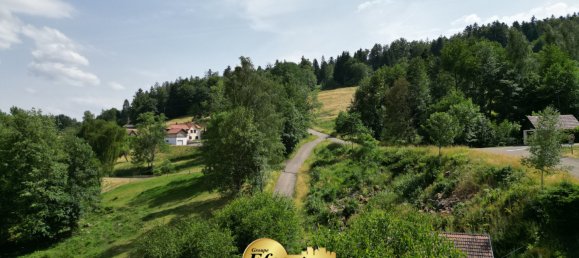 5 bedrooms House in Kruth, France No. 87618 13