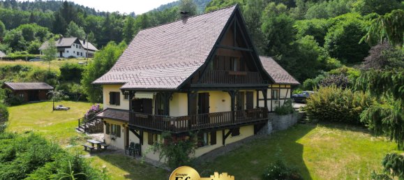 5 bedrooms House in Kruth, France No. 87618 26