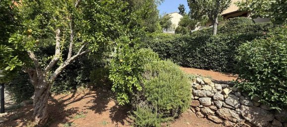 5 bedrooms Apartment in Capalbio, Italy No. 323903 5