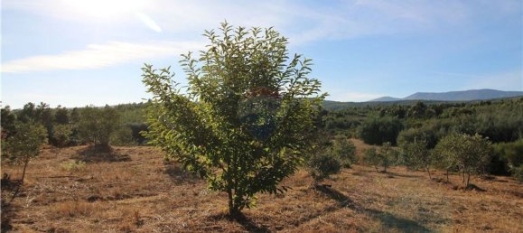 Grundstück in Covilha, Portugal 450m², Nr. 67209 11