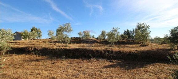 Grundstück in Covilha, Portugal 450m², Nr. 67209 13