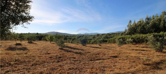 Grundstück in Covilha, Portugal 450m², Nr. 67209 9