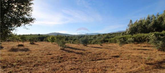 Grundstück in Covilha, Portugal 450m², Nr. 67209 8