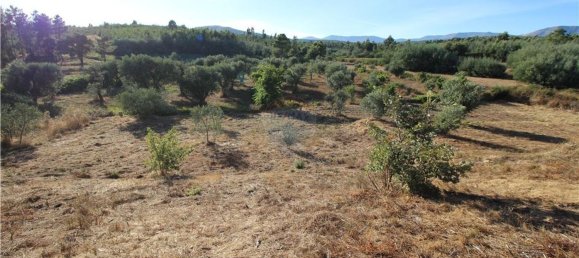 Grundstück in Covilha, Portugal 450m², Nr. 67209 20