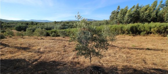 Grundstück in Covilha, Portugal 450m², Nr. 67209 12