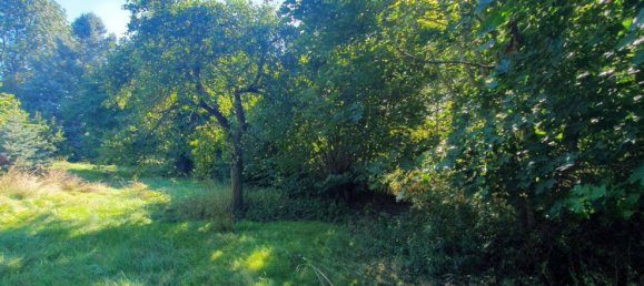 Таунхаус с 4 комнатами в Wittenberg, Германия № 360451 34