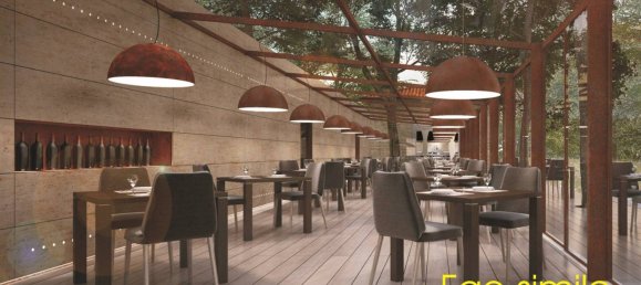 2 rooms Commercial property in Florence, Italy No. 12031 2