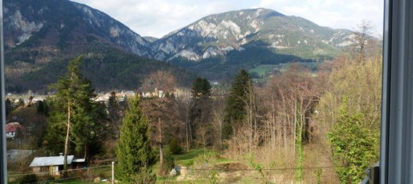3 rooms Apartment in Reichenau an der Rax, Austria No. 139556 2