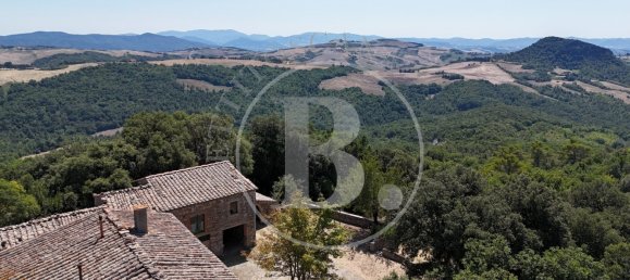 10 bedrooms Castles in Volterra, Italy No. 378323 41