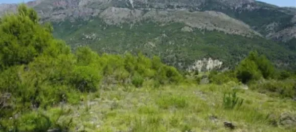 Land in Guadalest, Spain No. 108962 39