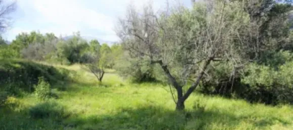 Land in Guadalest, Spain No. 108962 26