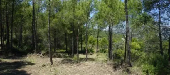 Land in Guadalest, Spain No. 108962 46