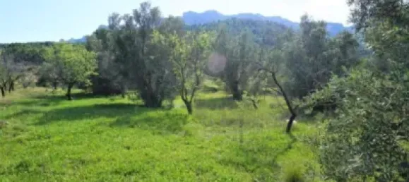 Land in Guadalest, Spain No. 108962 21