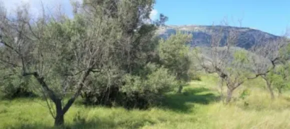 Land in Guadalest, Spain No. 108962 27