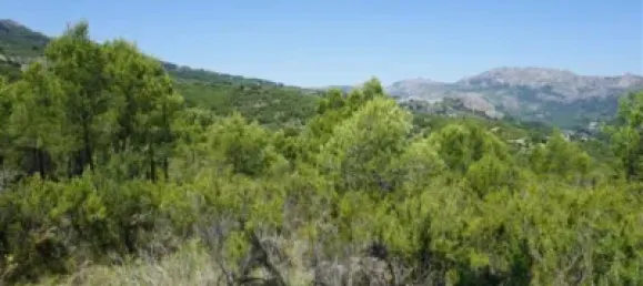 Land in Guadalest, Spain No. 108962 41