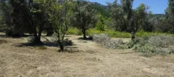 Land in Guadalest, Spain No. 108962 34