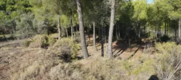 Land in Guadalest, Spain No. 108962 48