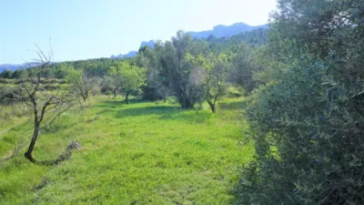 Land in Guadalest, Spain No. 108962