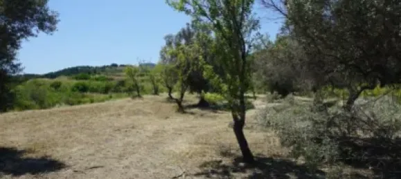 Land in Guadalest, Spain No. 108962 49