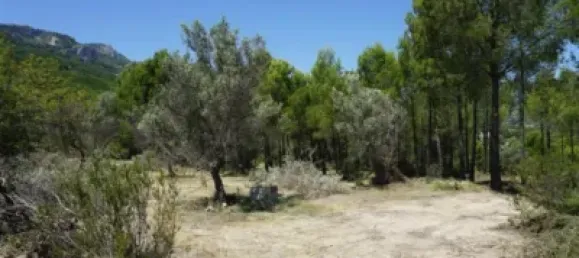 Land in Guadalest, Spain No. 108962 37