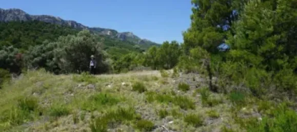 Land in Guadalest, Spain No. 108962 40
