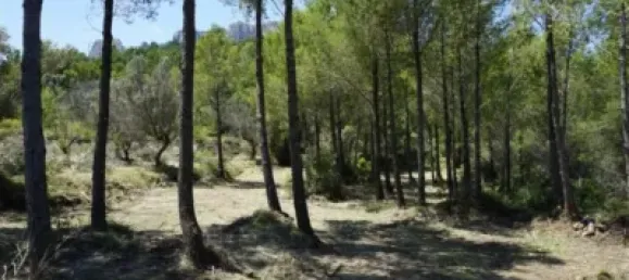 Land in Guadalest, Spain No. 108962 45