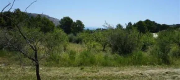 Land in Guadalest, Spain No. 108962 33
