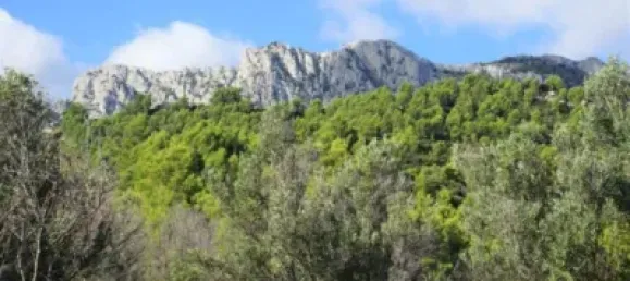 Land in Guadalest, Spain No. 108962 47