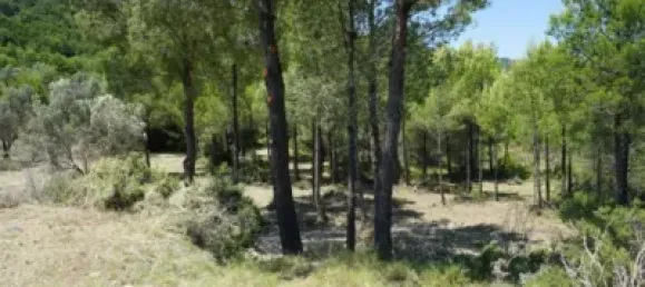 Land in Guadalest, Spain No. 108962 43