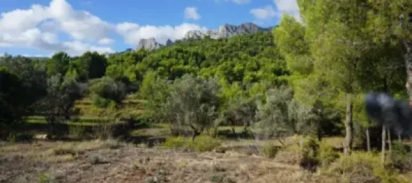 Land in Guadalest, Spain No. 108962 44