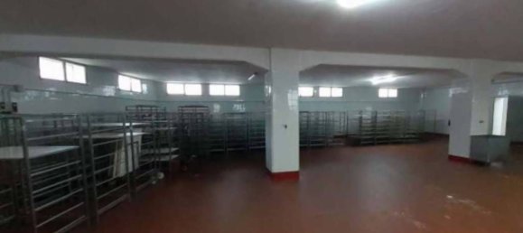 Entrepôt à Ozieri, Italy 815m² No. 316464 5