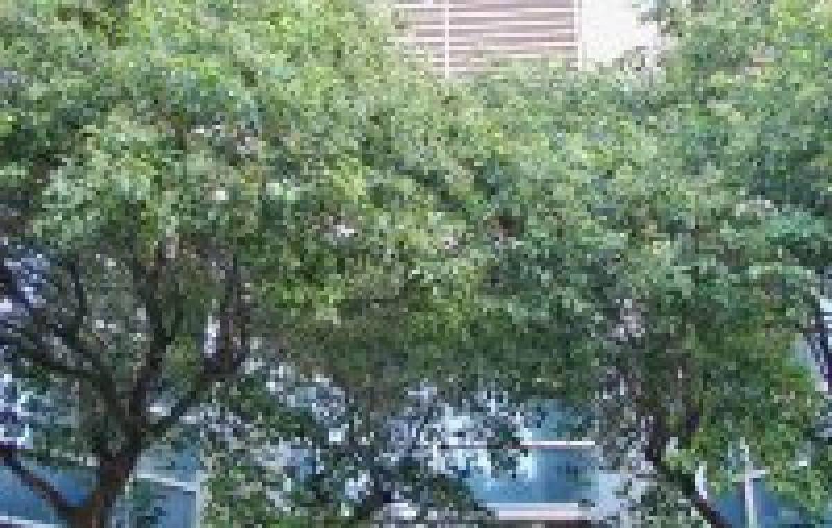 3 bedrooms Apartment in Quilmes, Argentina No. 55192