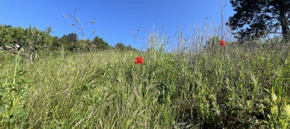 1400m² Land in Klosterneuburg, Austria No. 165630 17