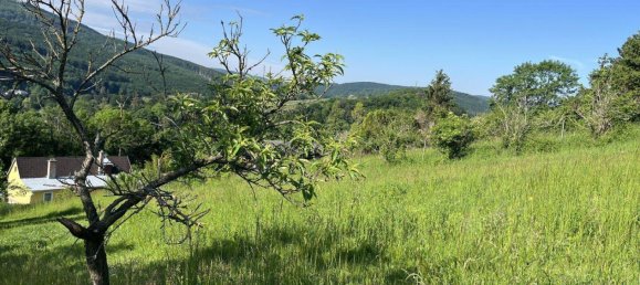 1400m² Land in Klosterneuburg, Austria No. 165630 2