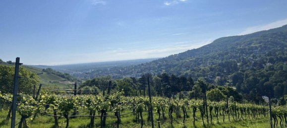 1400m² Land in Klosterneuburg, Austria No. 165630 9