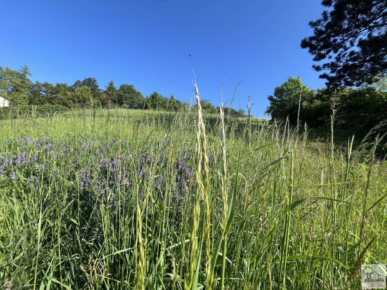 1400m² Land in Klosterneuburg, Austria No. 165630