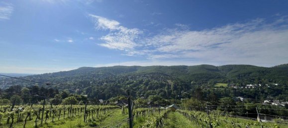 1400m² Land in Klosterneuburg, Austria No. 165630 4