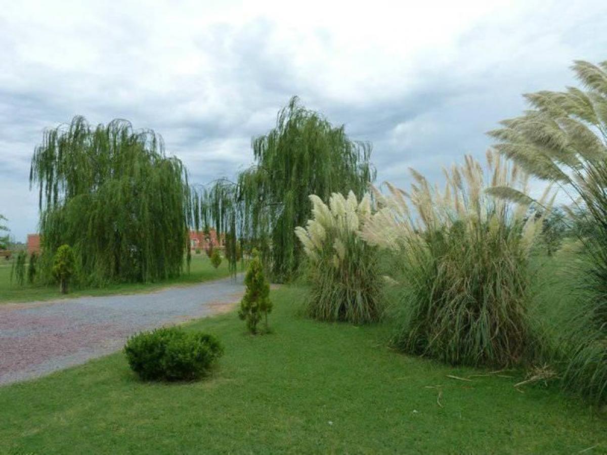  Land in Buenos Aires, Argentina No. 119433