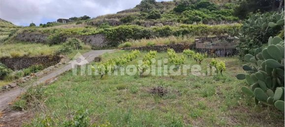 5-Zimmer Villa in Pantelleria, Italy, Nr. 352087 27