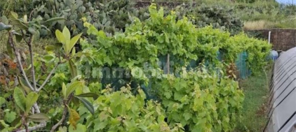 5-Zimmer Villa in Pantelleria, Italy, Nr. 352087 29