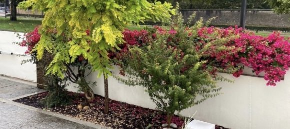 4 bedrooms House in Porto, Portugal No. 101230 2