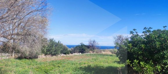 9965m² Land in Polignano a Mare, Italy No. 22206 15