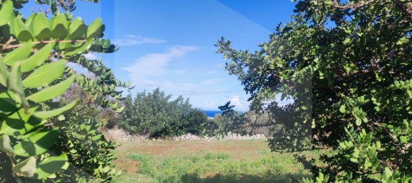 9965m² Land in Polignano a Mare, Italy No. 22206 17